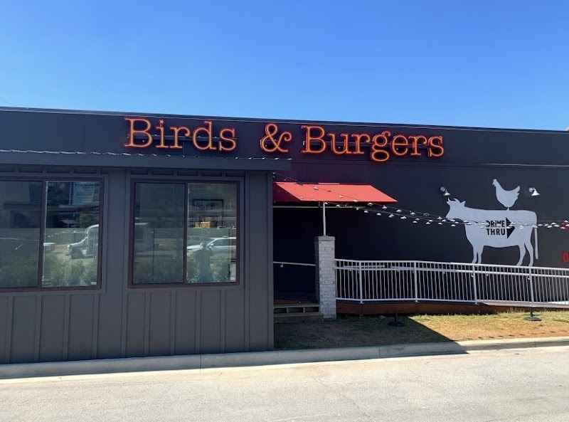 Photo of Birds and Burgers 1